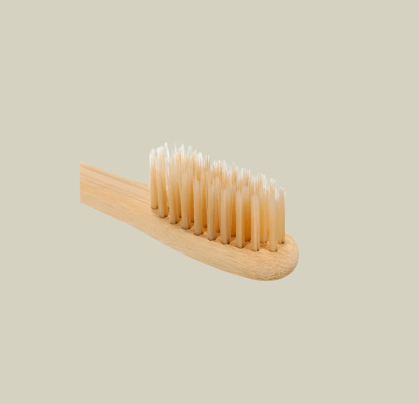 Wooden toothbrush with bristles inside a green circular border on a white background