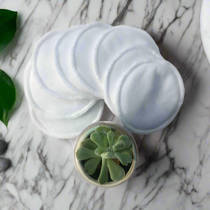 White cotton pads with a small round container featuring a green succulent plant on a white background