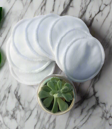 White cotton pads with a small round container featuring a green succulent plant on a white background