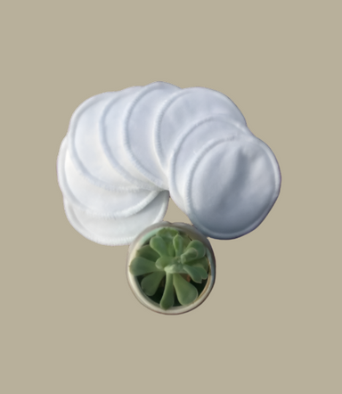 Decorative stone with a small succulent plant inside on a white background
